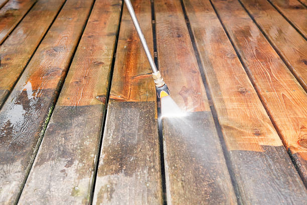 Animal Enclosure Cleaning in Avon, OH